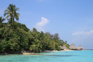 IMG_3406 (Medium).JPG