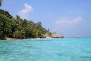 IMG_3413 (Medium).JPG