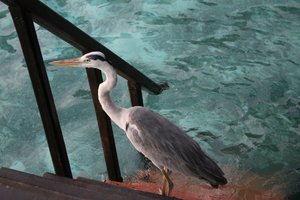 IMG_3563 (Medium).JPG