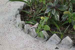 IMG_3567 (Medium).JPG