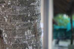 IMG_3578 (Medium).JPG