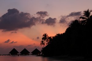 IMG_3635 (Medium).JPG