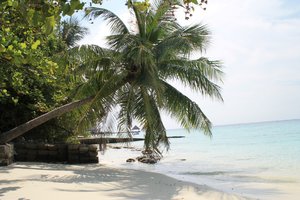 IMG_3643 (Medium).JPG