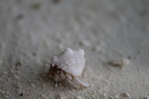 IMG_3659 (Medium).JPG