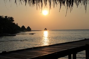 IMG_3673 (Medium).JPG