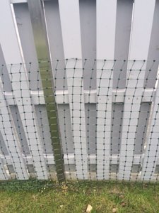 imageq1 (Medium).jpeg