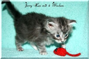 Jonathan mit 4 Wochen.JPG