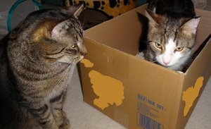 DSC05891 (640x389).jpg