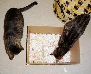 DSC05885 (640x524).jpg