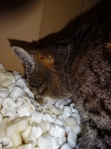 DSC05928 (480x640).jpg