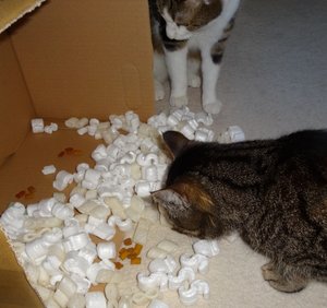 DSC05923 (640x600).jpg