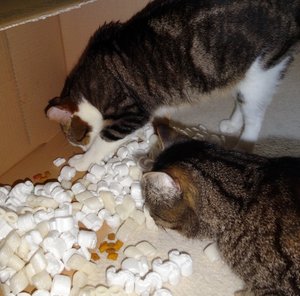 DSC05924 (640x631).jpg