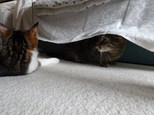 DSC05946 (640x480).jpg