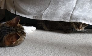 DSC05944 (640x391).jpg