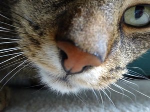 DSC05961 (640x480).jpg