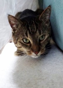 DSC05960 (461x640).jpg