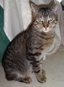 DSC05933 (472x640).jpg