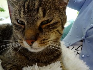 DSC06013 (640x480).jpg