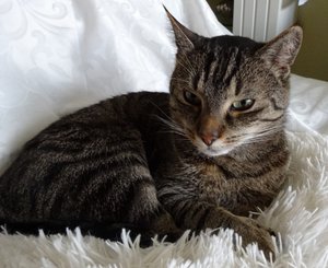 DSC06011 (640x521).jpg