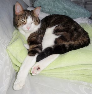 DSC05686 (624x640).jpg