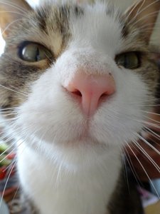 DSC06149 (480x640).jpg