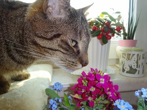 DSC06141 (640x480).jpg