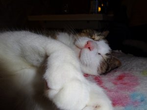 DSC05696 (640x479).jpg