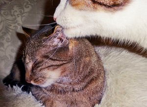 DSC05689 (640x464).jpg