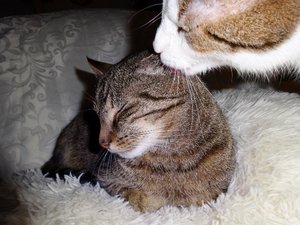 DSC05688 (640x480).jpg