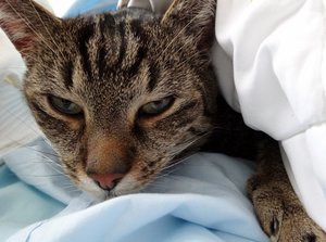 DSC06062 (640x475).jpg