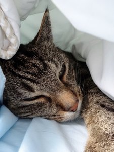 DSC06045 (480x640).jpg