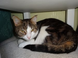 DSC06035 (640x480).jpg