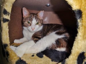 DSC06032 (640x480).jpg