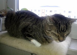 20140418_090925 (640x458).jpg