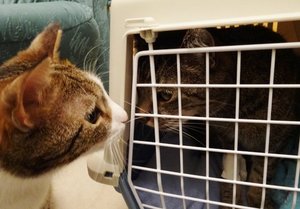 DSC06367 (640x445).jpg