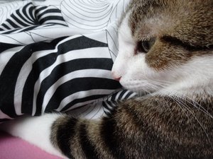 DSC06475 (640x480).jpg