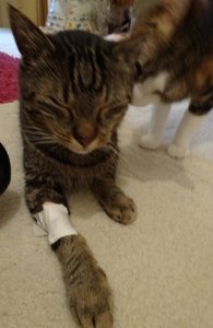 DSC06456 (415x640).jpg