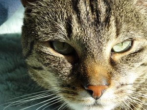 DSC06642 (640x480).jpg