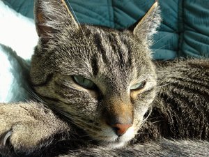 DSC06651 (640x480).jpg