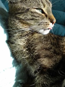 DSC06661 (480x640).jpg