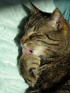 DSC06698 (480x640).jpg