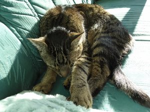 DSC06743 (640x480).jpg