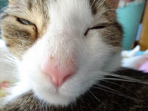 DSC06748 (640x480).jpg