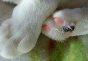 DSC06754 (640x442).jpg