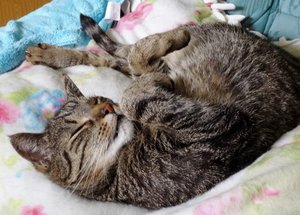 DSC06784 (640x457).jpg