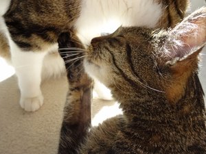 DSC06829 (640x480).jpg