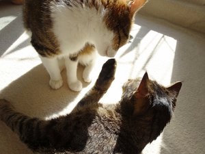 DSC06833 (640x480).jpg