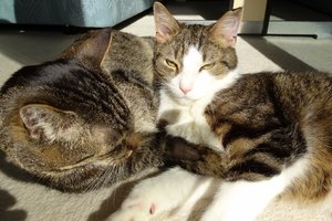 DSC06848 (640x425).jpg