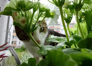 DSC06800 (640x460).jpg