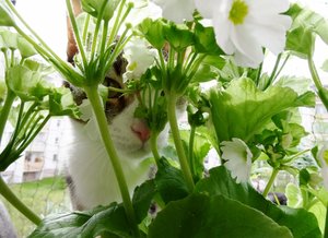 DSC06801 (640x464).jpg